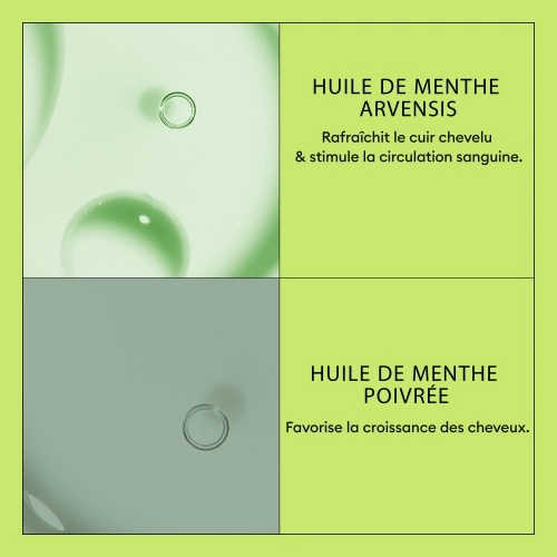 SYSTEM 2 Après-Shampoing - System 2 pour cheveux naturels avec chute avancée 413.21_4.jpg