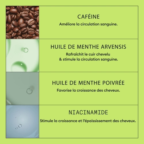 SYSTEM 2 Kit - System 2 pour cheveux naturels avec chute avancée 411.21_6.jpg