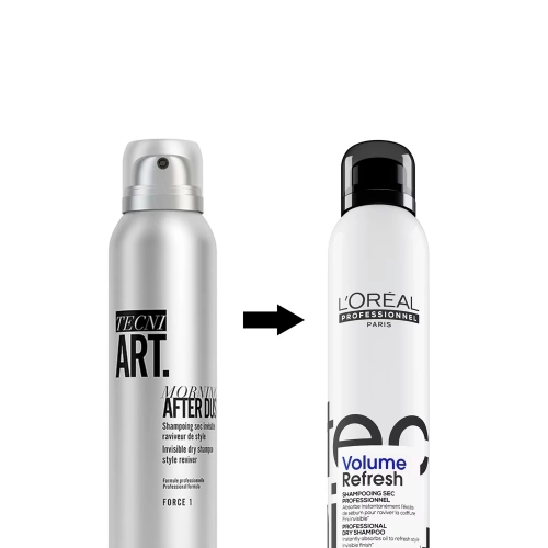 TECHNI ART Dry shampoo 0000030157743_3.jpg