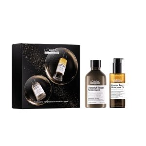 ABSOLUT REPAIR MOLECULAR Damaged Hair Duo Set