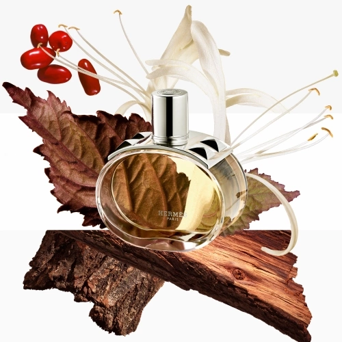 BARÉNIA Coffret, Eau de Parfum 3346130027928_3.jpg