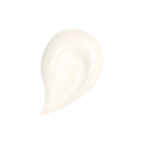 ABEILLE ROYALE Honey Treatment Crème Jour- RECHARGE 3346470618558_1.jpg