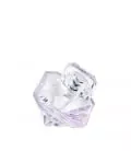 Lancome-Fragrance-La-Vie-Tresor-Diamant-Blanc-000-_3614272491052-Front