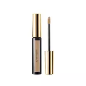 ALL HOURS CONCEALER Full Coverage in a Blendable, Liquid Texture