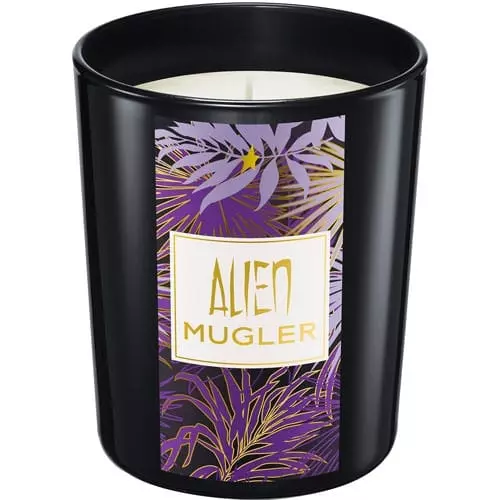 bougies parfume