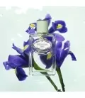 Prada-Fragrance-Infusion-Iris100ml-8435137743155-StillLife-Front
