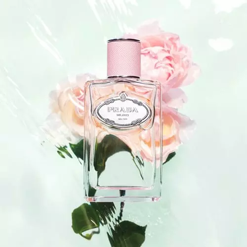 les infusions de prada rose