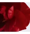 COMPLEMENTARY-VISUAL_N°1_CAMELIA_1024x1024