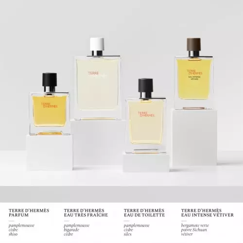 TERRE D'HERMÈS  Parfum Recharge TDH_880x880_NOT_5