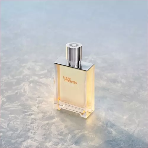 TERRE D'HERMÈS EAU GIVRÉE Eau de Parfum Vaporisateur HERMÈS