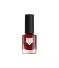 ALL-TIGERS---12-nail-lacquers-range---gamme-12-vernis_HD