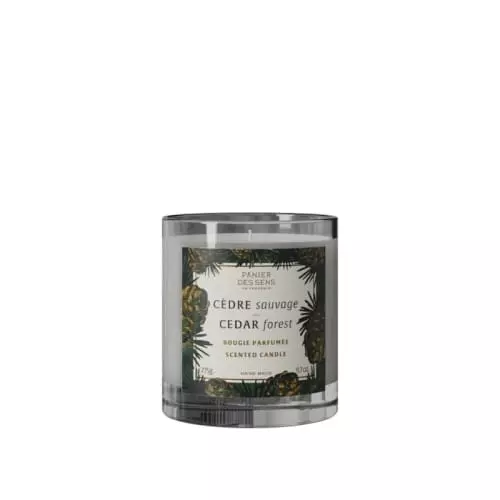 SCENTED CANDLE Wild Cedar AMB-CEDRE-bougie-2