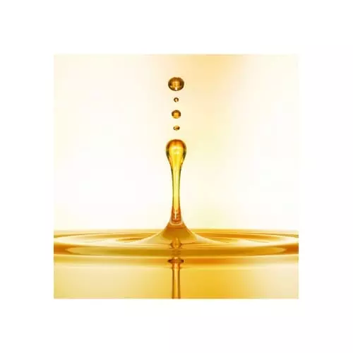 OROFLUIDO Original Elixir à l'Huile d'Argan, cheveux secs 8432225127859_1.jpg