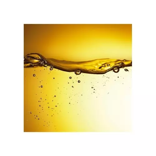 OROFLUIDO Original Elixir with Argan Oil, dry hair 8432225127859_2.jpg
