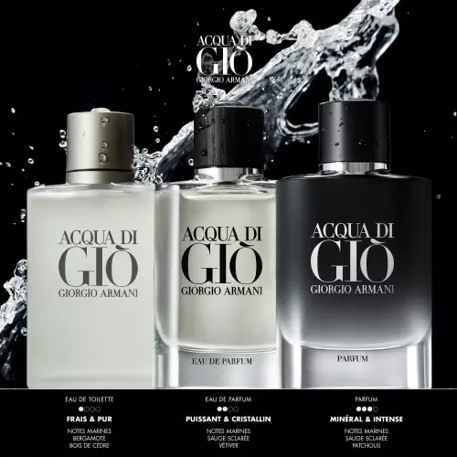 ACQUA DI GIÒ  Parfum Homme Vaporisateur 3614273906487_3.jpg