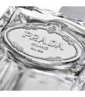 Prada-Fragrance-Infusion-Cedre100ml-8435137743223-Packshot-CloseUp.jpg