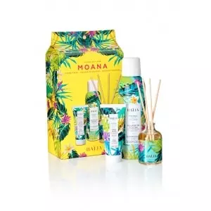 MOANA Christmas gift set shower foam, hand cream, bouquet 