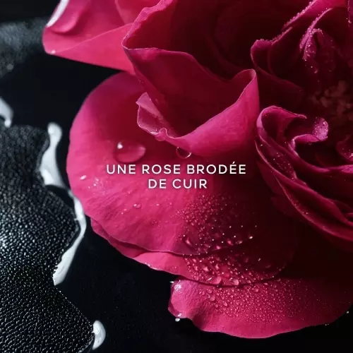 LA PETITE ROBE NOIRE Rose Noire Eau de Parfum 3346470147799_2.jpg