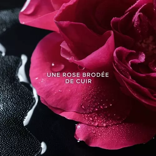 LA PETITE ROBE NOIRE Rose Noire Eau de Parfum 3346470147805_2_FR.jpg