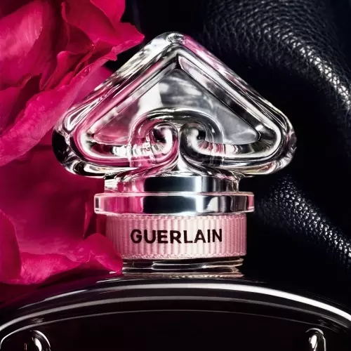 LA PETITE ROBE NOIRE Rose Noire Eau de Parfum 3346470147805_3.jpg