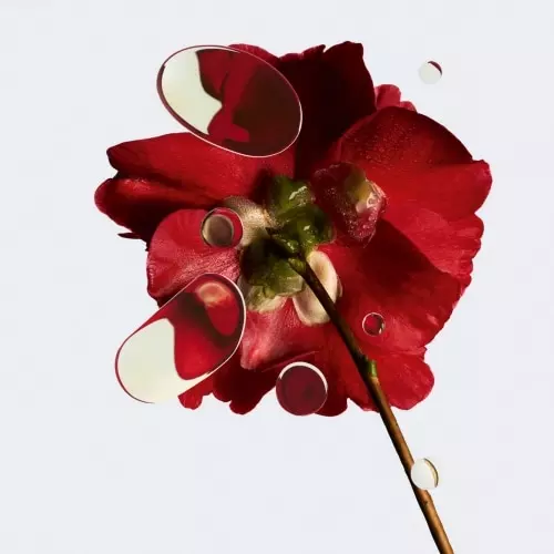 N°1 DE CHANEL CRÈME REVITALISANTE Lisse - Repulpe - Apporte du confort 3145891407402_4.jpg