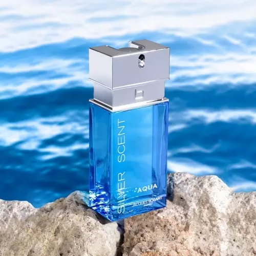 SILVER SCENT AQUA Eau de parfum vaporisateur Screenshot 2024-04-24 at 10-15-09 324791-jacques-bogart-silver-scent-aqua-vaporisateur-vaporisateur-100-ml-autre3-1000x1000.jpg 