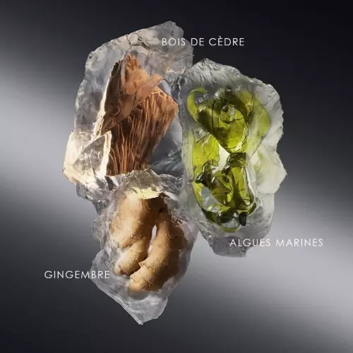 LE SEL D'ISSEY Eau de Toilette 3423222106300_2.jpg