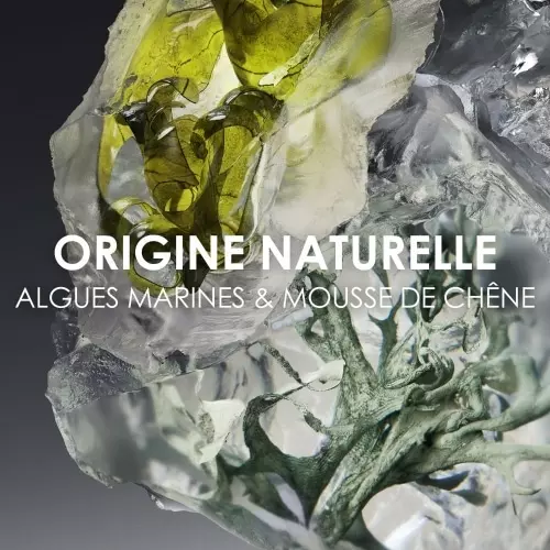 LE SEL D'ISSEY Eau de Toilette 3423222106300_4.jpg