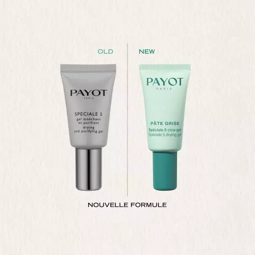 PÂTE GRISE Spéciale 5 cica-gel 3390150588631_V6.jpg