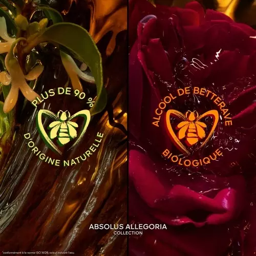 LES ABSOLUS ALLEGORIA Ardent Patchouli Eau de Parfum 3346470148345_2.jpg