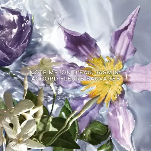 AQUA ALLEGORIA Flora Salvaggia Vaporisateur 3346470143876_1.jpg