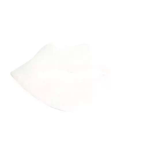 LIP PATCH / PLUMPING MOISTURIZER Lip care 3662232003968.jpg