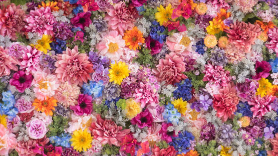 tapis de fleurs