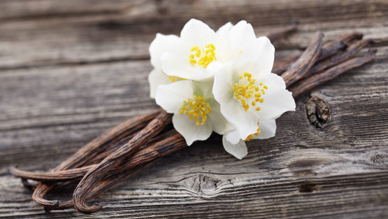 brins de vanille et fleurs