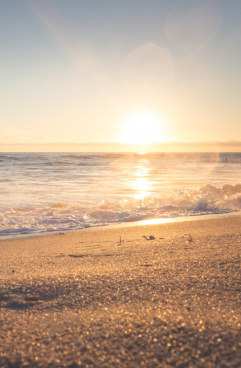 plage au coucher du soleil