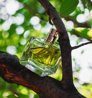 parfum eau fraiche dans une arbre